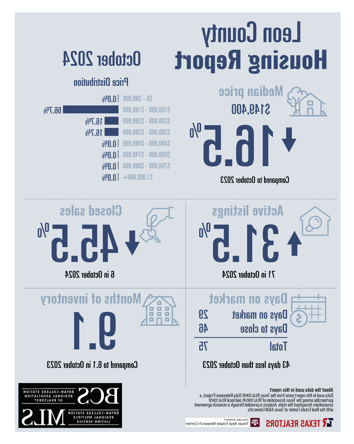 Residential Home Sale Report 2024 - Leon